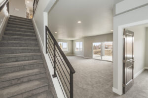 Basement Development